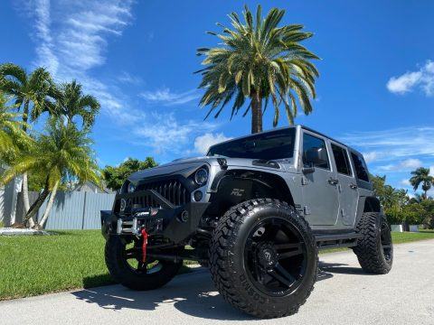 2017 Jeep Wrangler Custom 1 of 1 Unlimited Sport for sale