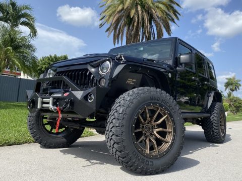 2016 Jeep Wrangler RARE Custom 1 Of &#8220;black Bear&#8221; Edition JK JKU for sale